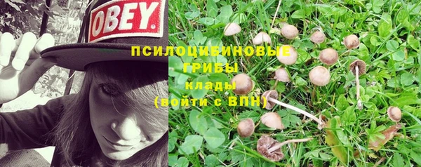 ПСИЛОЦИБИНОВЫЕ ГРИБЫ Алексеевка