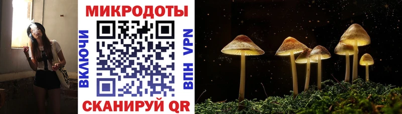 Купить  Дмитриев  Галлюциногенные грибы Cubensis 
