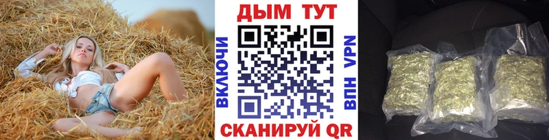 Конопля MAZAR  Купить где  Дмитриев 