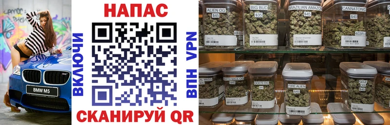 Канабис Bruce Banner Дмитриев